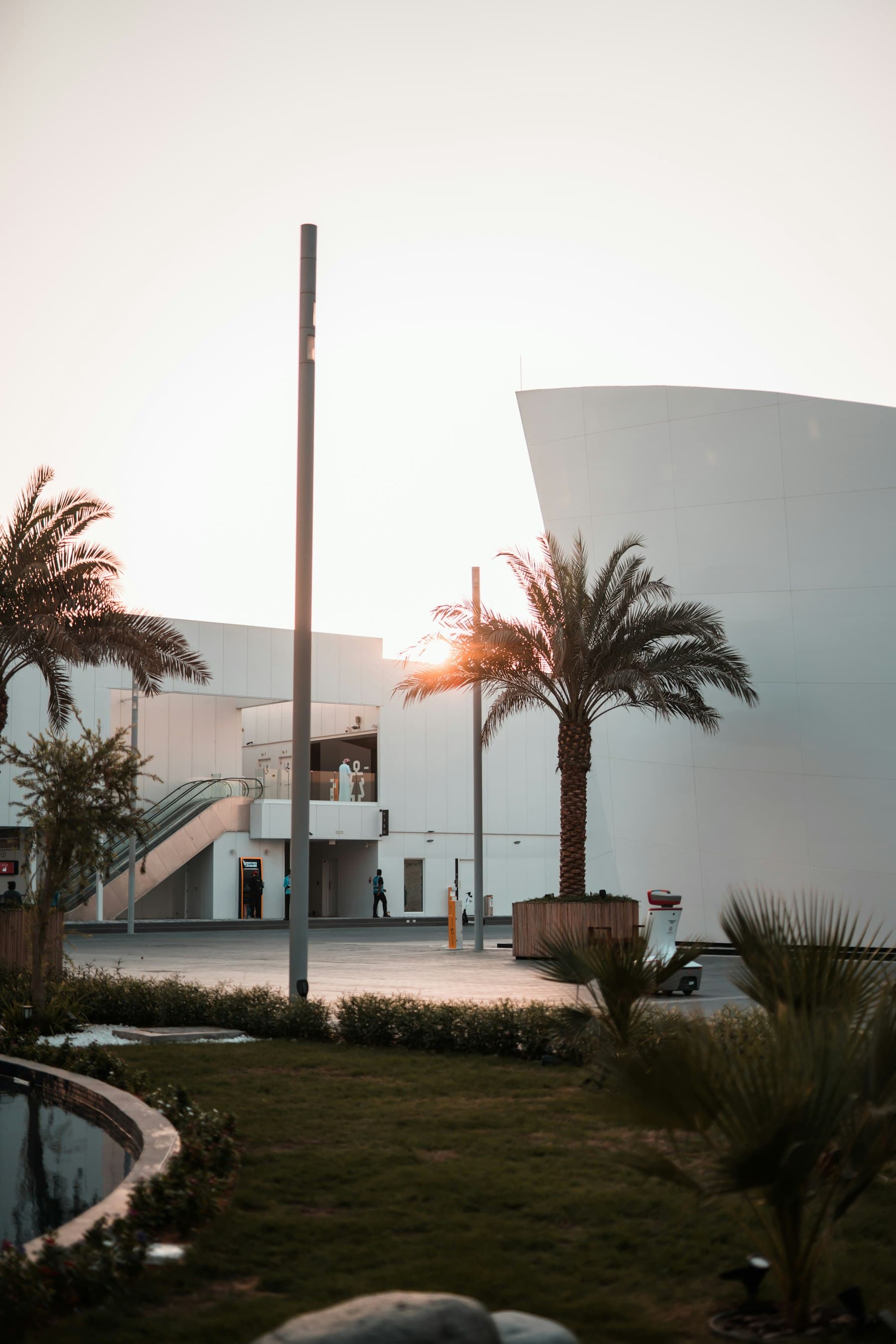 A residential building framed by palm trees under strong sunlight