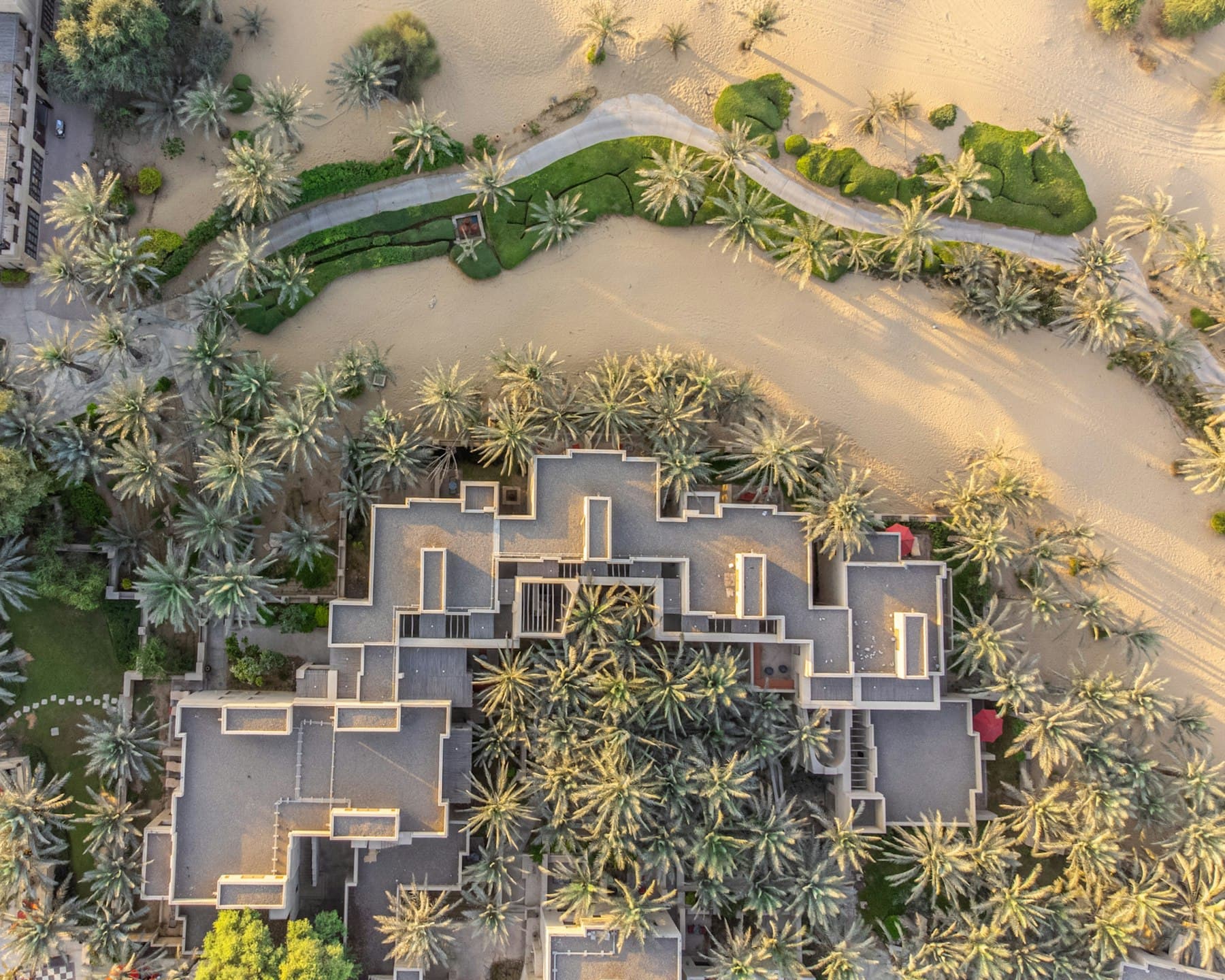 Aerial view of a villa surrounded by palm trees
